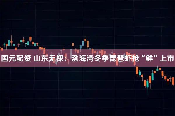 国元配资 山东无棣：渤海湾冬季琵琶虾抢“鲜”上市